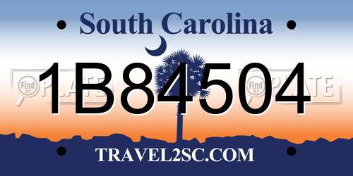 1B84504 South Carolina License Plate