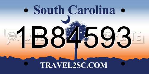 1B84593 South Carolina License Plate