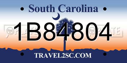 1B84804 South Carolina License Plate