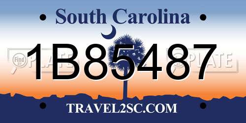 1B85487 South Carolina License Plate