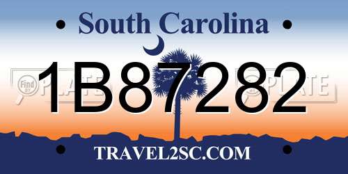 1B87282 South Carolina License Plate