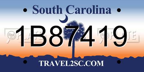 1B87419 South Carolina License Plate