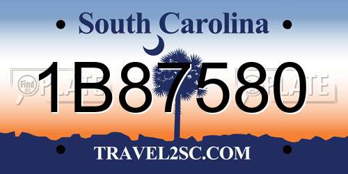 1B87580 South Carolina License Plate