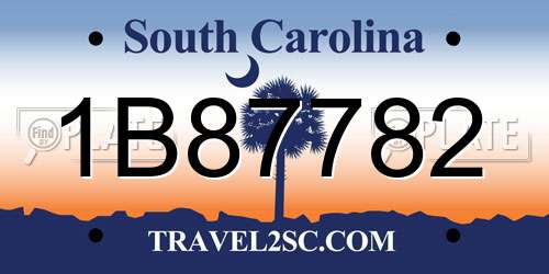 1B87782 South Carolina License Plate