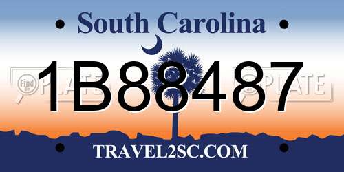1B88487 South Carolina License Plate