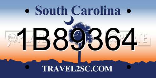 1B89364 South Carolina License Plate