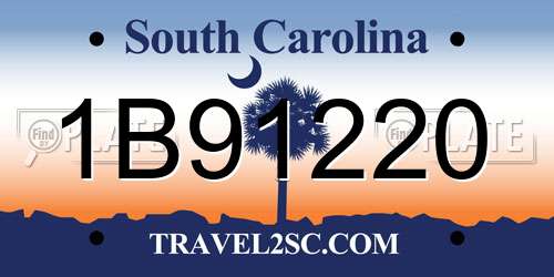 1B91220 South Carolina License Plate