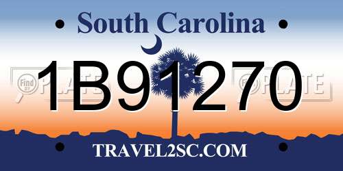 1B91270 South Carolina License Plate