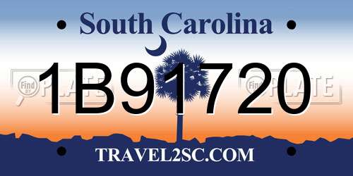 1B91720 South Carolina License Plate