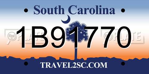1B91770 South Carolina License Plate