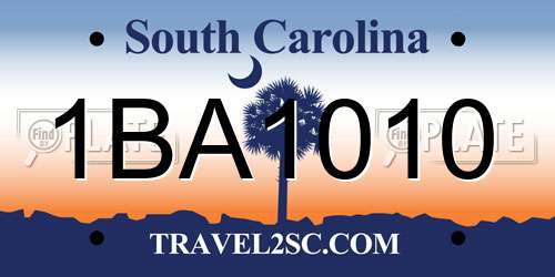 1BA1010 South Carolina License Plate