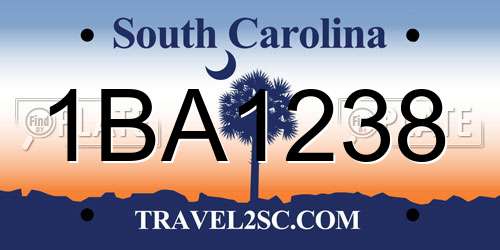 1BA1238 South Carolina License Plate