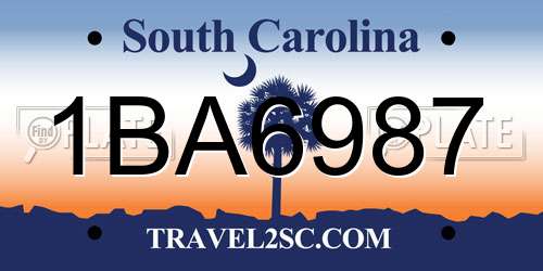 1BA6987 South Carolina License Plate