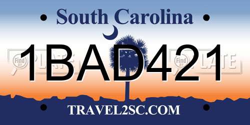 1BAD421 South Carolina License Plate