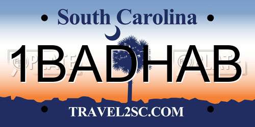 1BADHAB South Carolina License Plate