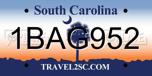 1BAG952 South Carolina License Plate