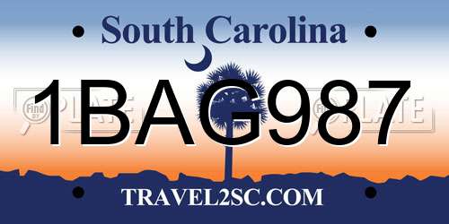 1BAG987 South Carolina License Plate