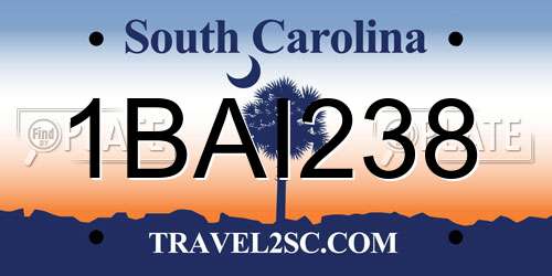 1BAI238 South Carolina License Plate