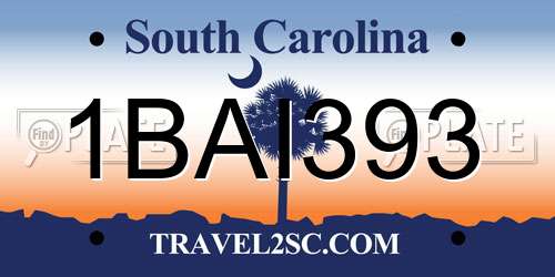 1BAI393 South Carolina License Plate