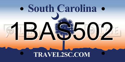 1BAS502 South Carolina License Plate