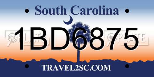1BD6875 South Carolina License Plate