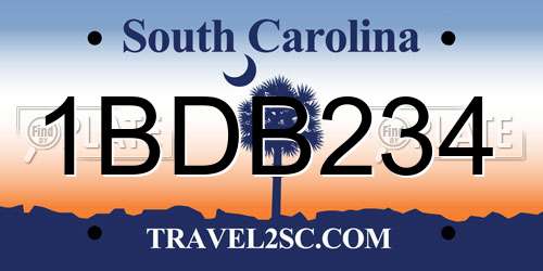 1BDB234 South Carolina License Plate