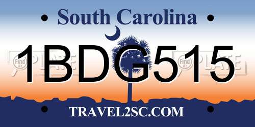 1BDG515 South Carolina License Plate