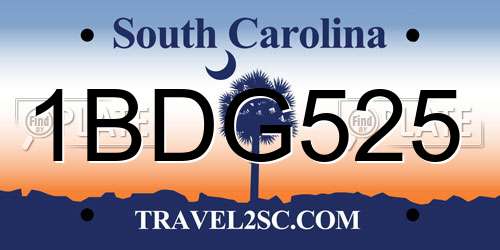 1BDG525 South Carolina License Plate
