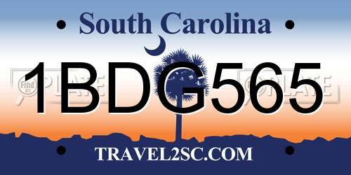 1BDG565 South Carolina License Plate