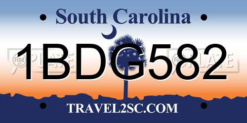 1BDG582 South Carolina License Plate