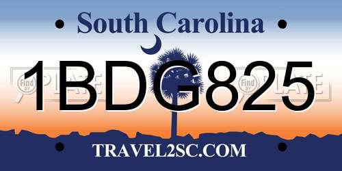 1BDG825 South Carolina License Plate