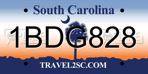 1BDG828 South Carolina License Plate