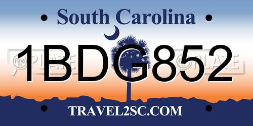 1BDG852 South Carolina License Plate