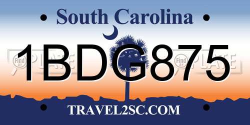 1BDG875 South Carolina License Plate