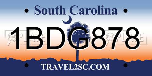 1BDG878 South Carolina License Plate