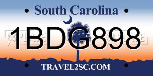 1BDG898 South Carolina License Plate