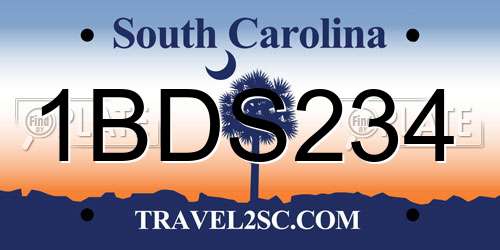 1BDS234 South Carolina License Plate