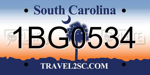 1BG0534 South Carolina License Plate
