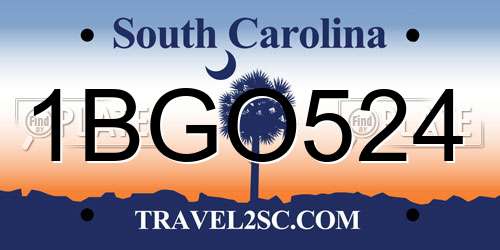 1BGO524 South Carolina License Plate