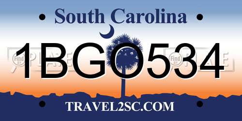 1BGO534 South Carolina License Plate