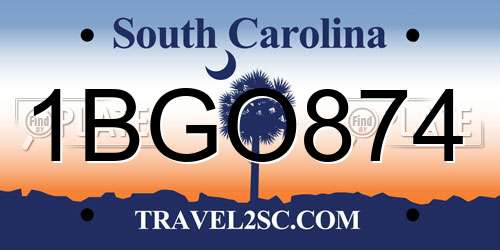 1BGO874 South Carolina License Plate