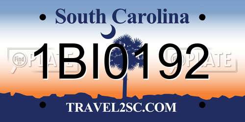 1BI0192 South Carolina License Plate