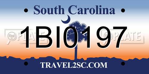 1BI0197 South Carolina License Plate