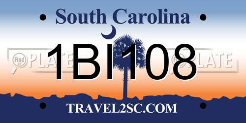 1BI108 South Carolina License Plate