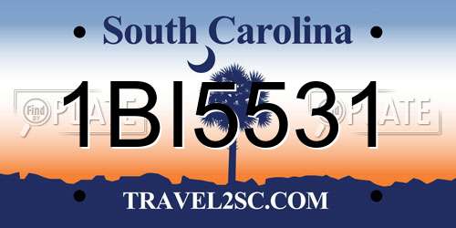 1BI5531 South Carolina License Plate