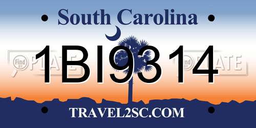 1BI9314 South Carolina License Plate