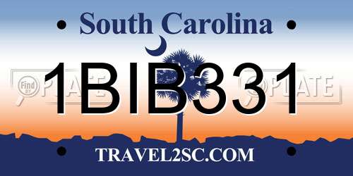 1BIB331 South Carolina License Plate
