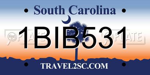 1BIB531 South Carolina License Plate