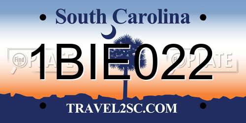 1BIE022 South Carolina License Plate