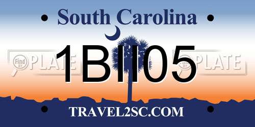 1BII05 South Carolina License Plate